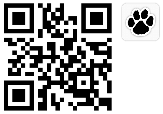 qr code + icon